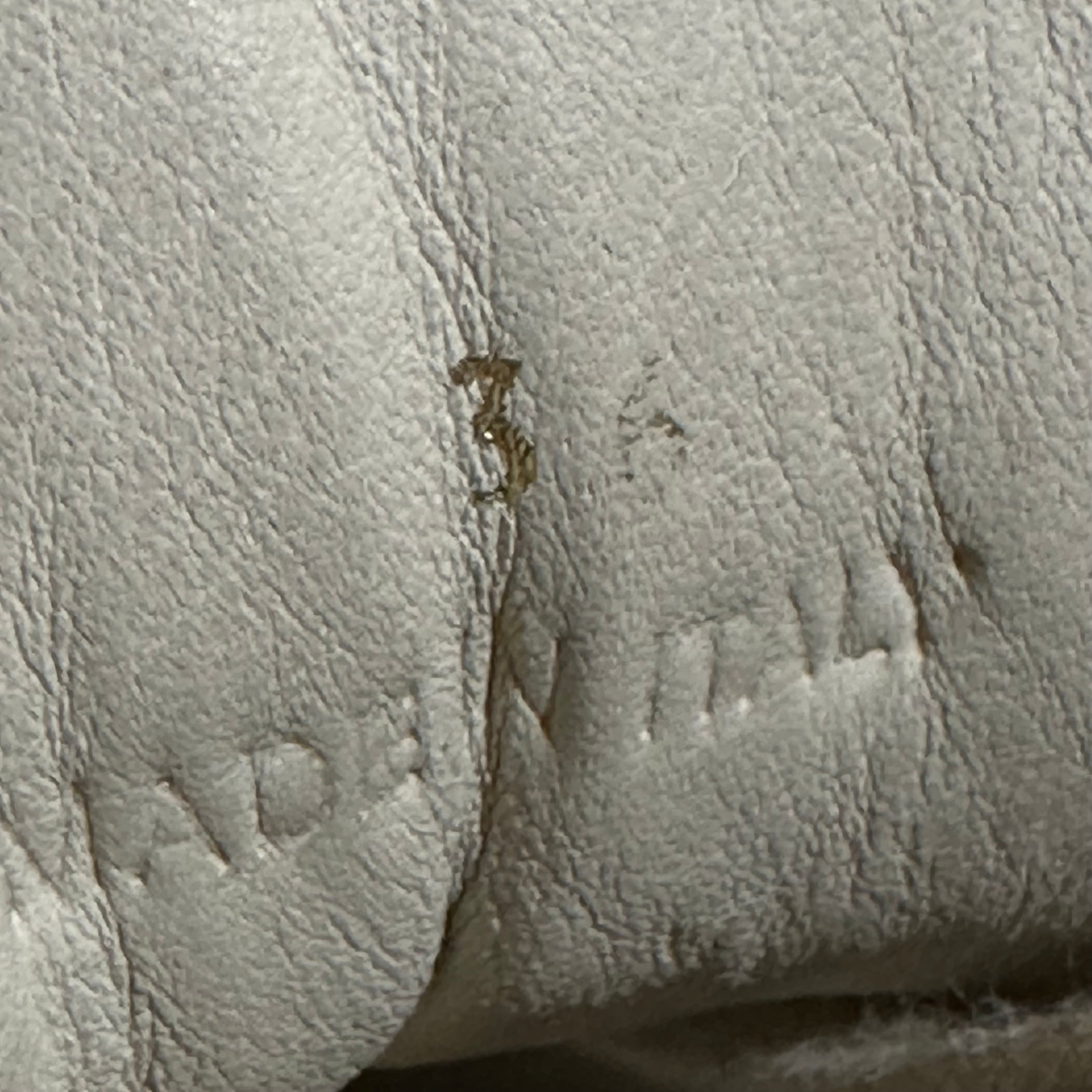 Maison Margiela Tabi Replica GAT White Leather