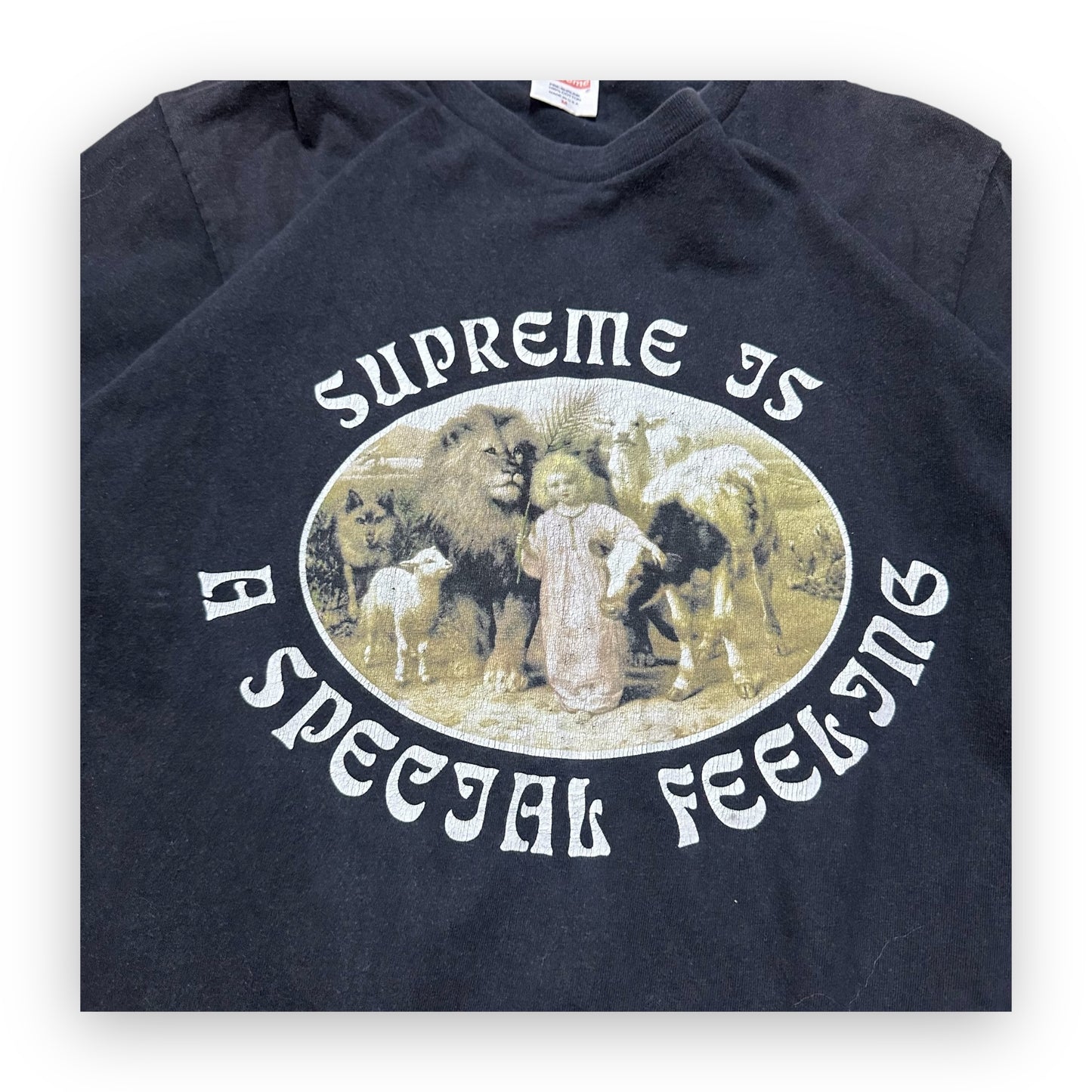 Tee Supreme Feelings Black FW16 (M)