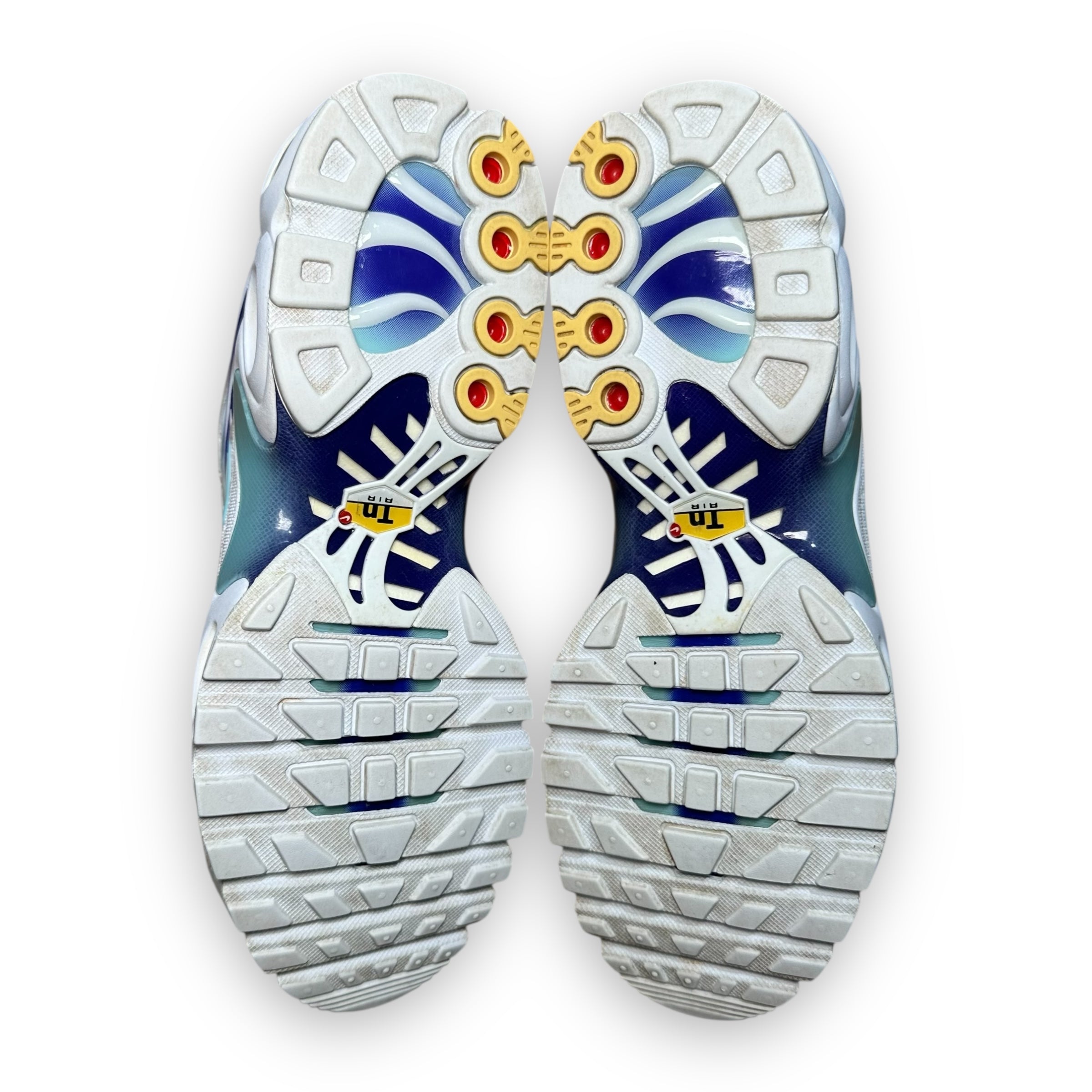 Air Max Plus TN Bleach Aqua