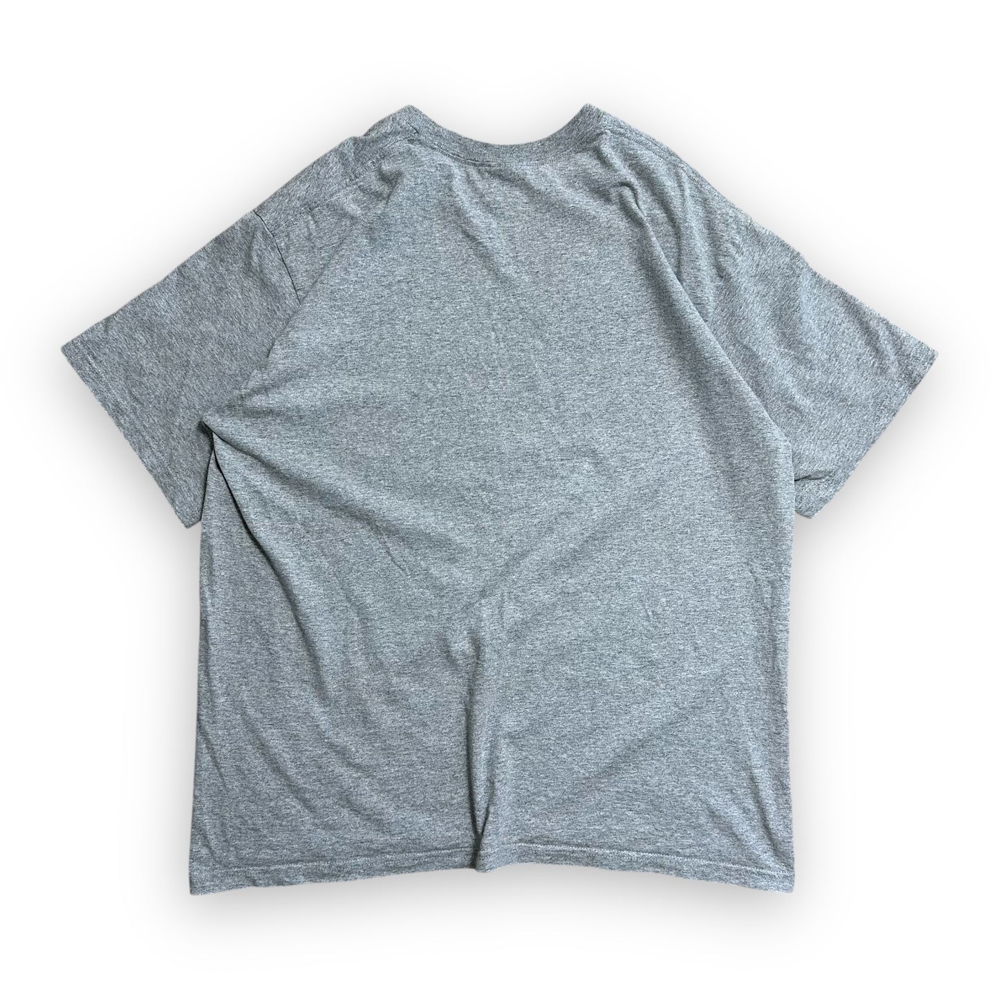 Tee Supreme Dinosaur Heather Grey SS20 (L)