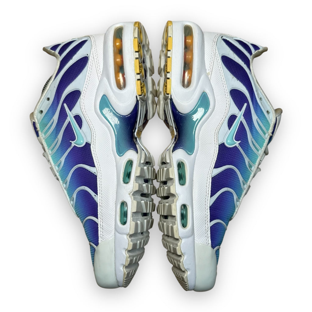 Air Max Plus TN Bleach Aqua