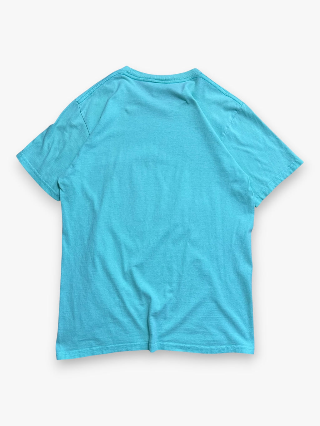 Tee Supreme Jellyfish Mint Green SS18