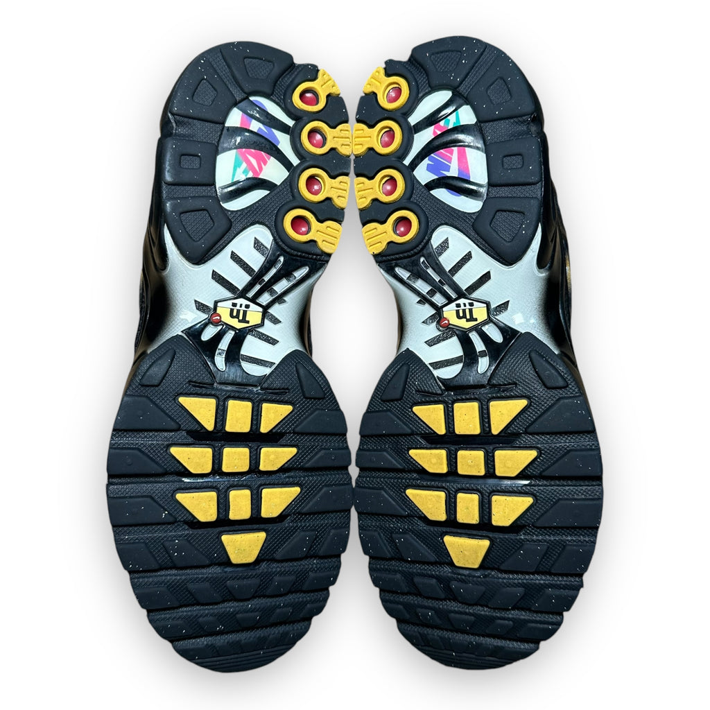Air Max Plus TN Black Multicolor
