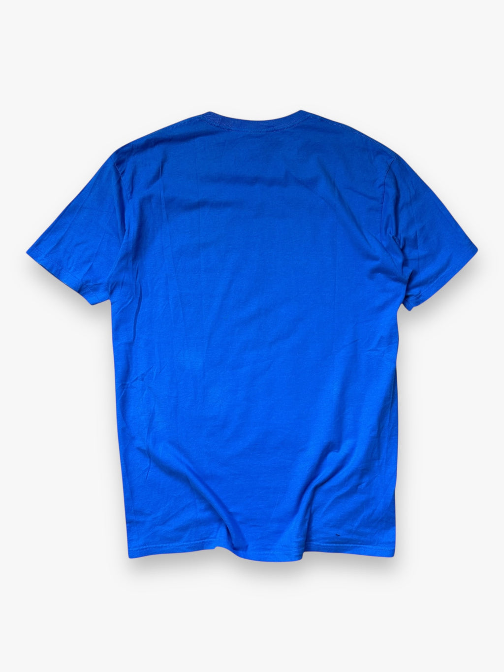 Tee Stussy Parra Blue