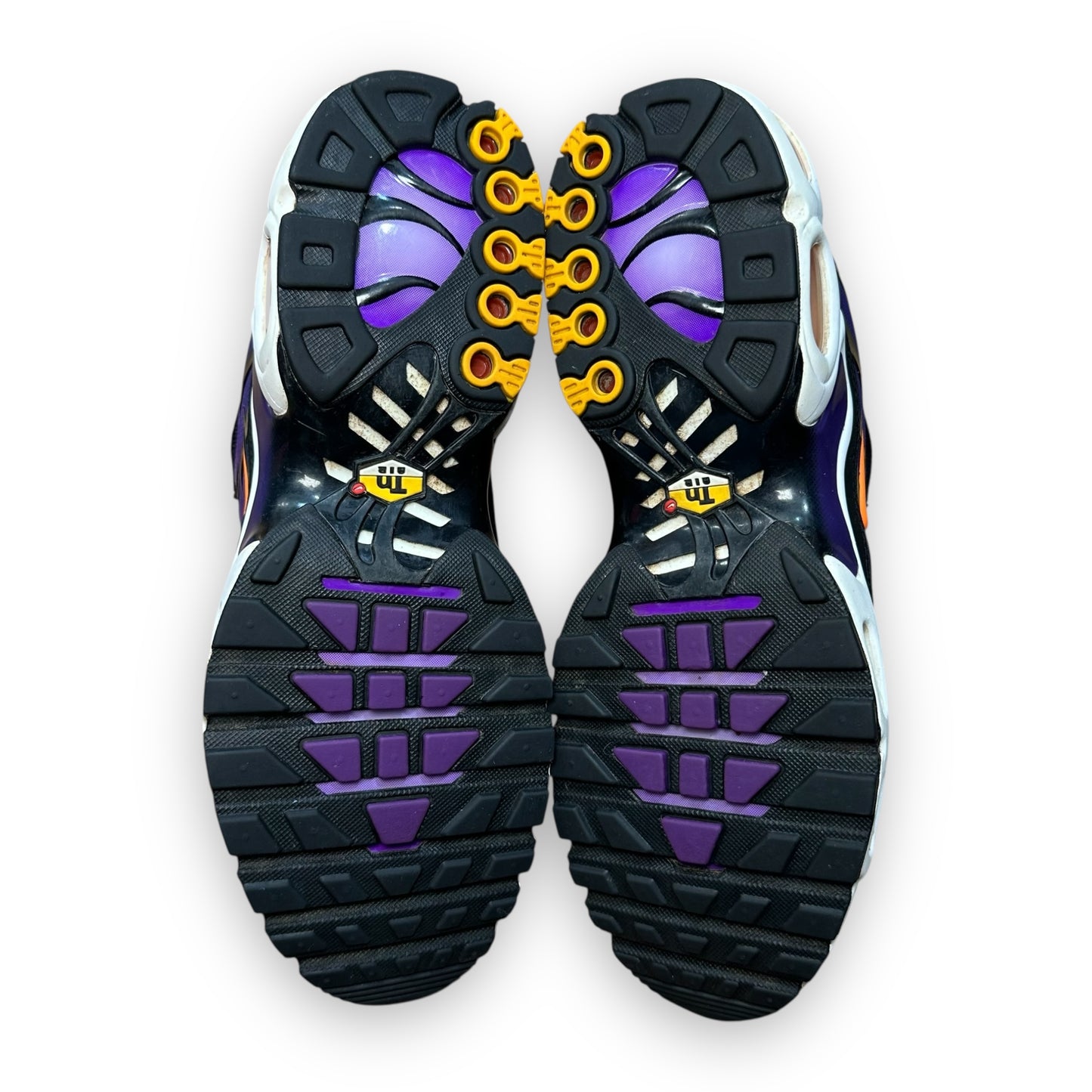 EU45 - US11 - UK10 • Air Max Plus TN Purple