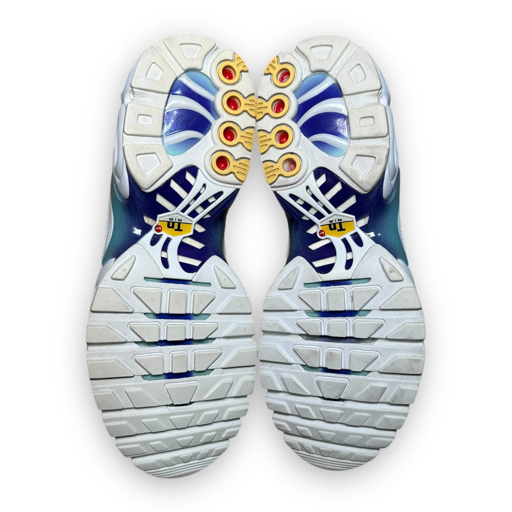 Air Max Plus TN Bleach Aqua