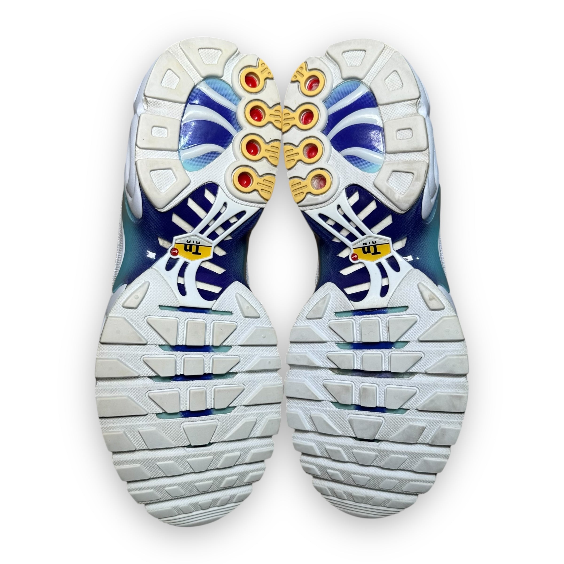 Air Max Plus TN Bleach Aqua