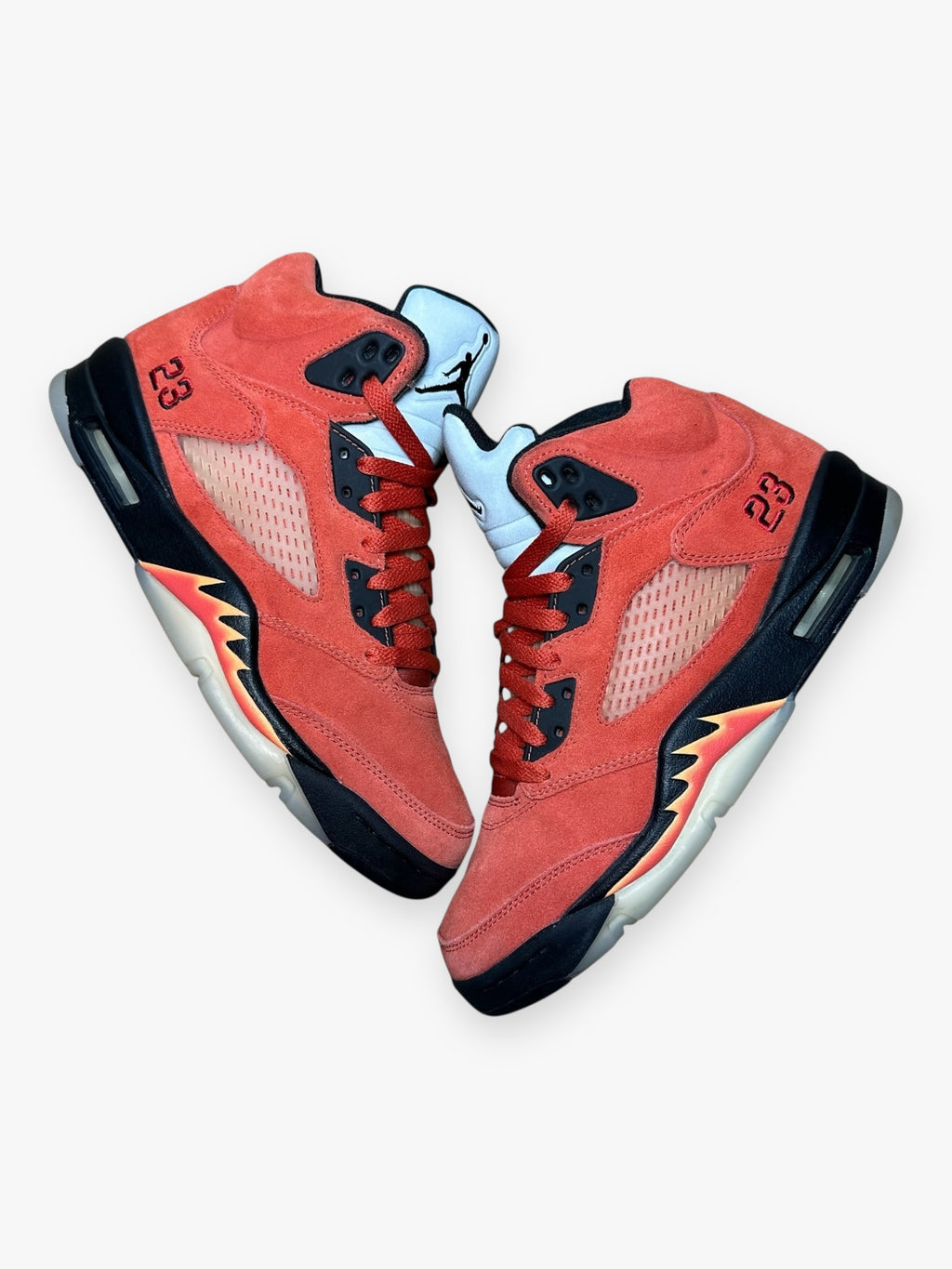 Jordan 5 Retro Dunk on Mars