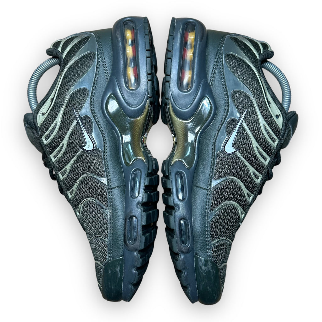 Air Max Plus TN Sequoia