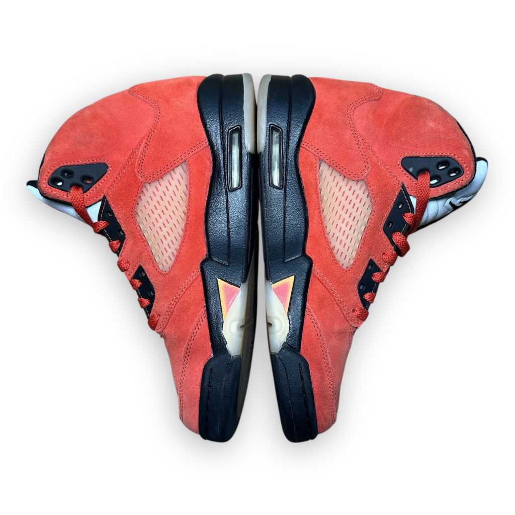 Jordan 5 Retro Dunk on Mars